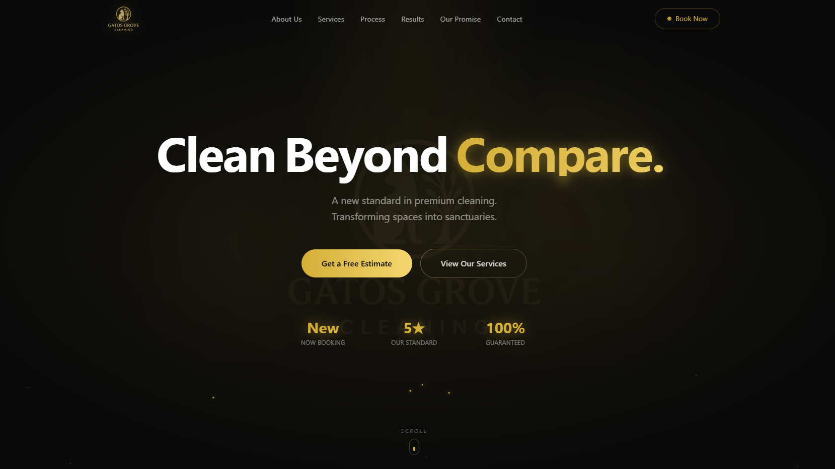 Cleaning company website preview